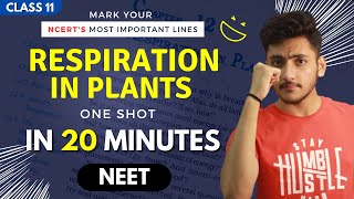 Respiration in Plants Class 11 | Biology | For NEET | Full Revision In 20 Minutes