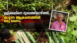 ഉളിക്കലിനെ ദുഃഖത്തിലാഴ്ത്തി... കാട്ടാന ആക്രമണത്തിൽ ഒരു മരണം