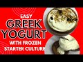 How to make Greek yogurt with frozen starter|Greek yogurt business #greekyogurt