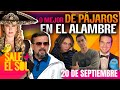 Alicia Villareal, Belinda, David Zepeda | Lo Mejor de Pájaros en el Alambre | 20/09/2024