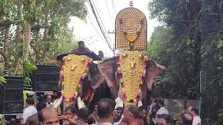 Pallattu Brahmadathan \u0026 Unnimangadu Ganapathi getting ready for Panayannarkavu Pooram 2023....