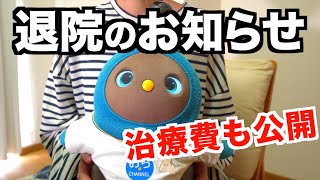 【退院】LOVOTおらちゃん退院のお知らせと治療費公開