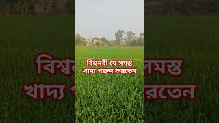 বিশ্ব নবীর পছন্দের খাবার। #মিজানুর_রহমান_আজহারী #ইসলামিক #islamicshort #waz #ইসলামিক_ভিডিও