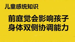 前庭系统影响儿童的双侧协调能力，儿童感统知识分享，感觉统合常识，幼儿感统知识百科