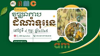 វឌ្ឍនភាបដំណាំទុរេន នៅថ្ងៃទី ៨ កុម្ភៈ ឆ្នាំ២០២៥