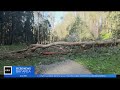 Recent storms take toll on trees in San Francisco city parks