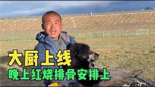 带着鸡鸭鱼肉徒步青藏线？这个河南小伙太牛了，妹子晚上有口福了【王温暖徒步青藏线】