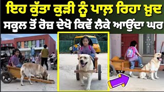 ਦੇਖੋ ਇਹ d©g ਕਿੰਨਾ ਸਮਝਦਾਰ ਐ |