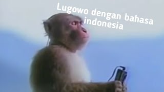 Lugowo dengan bahasa indonesia