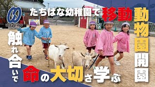 触れ合いで命の大切さ学ぶ、たちばな幼稚園で移動動物園【宇部】