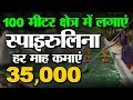 Kisan 100 Mtr क्षेत्र में इसकी खेती करके कमा सकते है 35,000 | Spirulina Cultivation