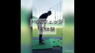 うわさのMOZウェッジ打ってみた