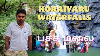 Koraiyaru waterfalls/pachamalai#pachamalai#waterfalls #trichytouristplaces#tamilnadutouristplaces