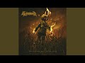 mourn the southern skies