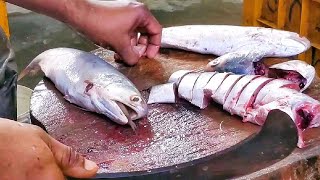 Indian Salmon Fish Cutting | Salmon Fish காலா மீன்| Fish Cutting TSR Fish Center @sahulthahir