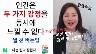 빨리 돈 모으고 싶다! 돈 모으는 가장 현실적 방법 월천, 월억 가자. 김새해작가 억대연봉 비법