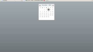 First Steps in Flex - Formatters