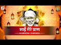 साईं मेरे प्राण | Sai Mere Pran | Shath Shath Pranam | Harendra Khurana 🙏🎶🌼