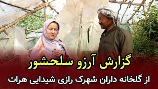 گزارش آرزو سلحشور از گلخانه داران شهرک رازی شیدایی هرات