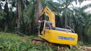 มาแล้ว! เจมส์ อ่าวตง เปิดแปลงสับต้นปาล์มน้ำมัน 13 ไร่ งานนี้ซอยกันดุเดือด กับ KOMATSU PC210-10