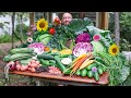 Massive Backyard Gardening Harvest, The Best Food Money Can't Buy!