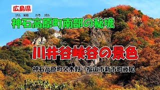 神石高原町南部の秘境　川井谷峡谷の景色