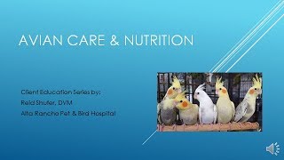 Avian Care & Nutrition