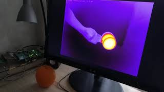 FPGA Video Processing - Colorization (hot and cold)