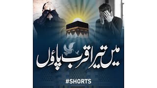 Mein Tera Qurb Paon - Hafiz Fasih Asif - Peace Studio - Peace Studio Shorts #shorts