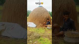 বন চুরি করতে গিয়ে #shorts #forest #funnyvideo