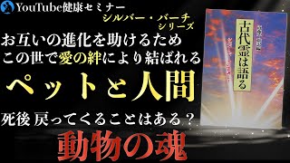 動物の魂が人間として生まれることもある：「古代霊は語る」を解説⑤