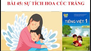 [Kể chuyện lớp 1] Bài 45: Sự tích hoa cúc trắng | Sách Kết nối tri thức với cuộc sống.