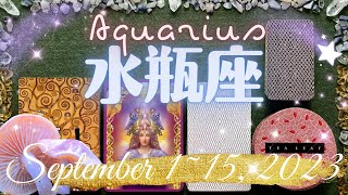 水瓶座★2023/9/1～15★あなたにふさわしい契約を愛を勝ち取ることができるかどうかの分かれ道。勝ち取って次に進むためのメッセージ - Aquarius - Sept 1~15, 2023