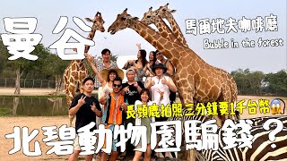 Global Thailand｜Kanchanaburi Zoo scam money❓ Is it worth NT$1000 per person to take a photoes?