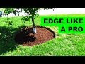 How to edge and mulch around a tree