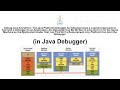 Debug Java Anywhere (in Java Debugger)