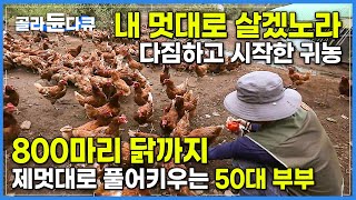 하나부터 열까지 안 맞는 부부! 키우는 800마리 닭까지 제 멋대로 살라는 50대 귀농 부부의 인생 철학│제 멋대로 행복하게 사는 법│한국기행│#골라듄다큐