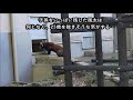 【20歳10ヵ月】レッサーパンダ（風太）＠千葉市動物公園20240514