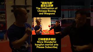 《一代宗师》中说的“脱枪为拳”是怎么回事The Unification of Chinese Boxing and Weapons订阅看更多精彩