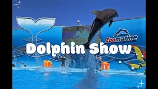 🫧𓇼𓏲‧₊˚🎐So cool Dolphin performance in 5 minutes🐬‧₊˚𓏲✩‧₊˚🎐 ﹏𓆞﹏