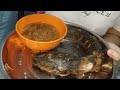 Ikan Lele Goreng Tambah Sambal Culik Versi Mak Bidut.