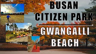 Autumn Magic in Busan 🍁 | Citizen Park & Gwangalli Beach Nightlife / 4K video