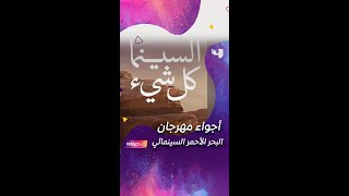 كاميرا #MBCTrending تنقل أجواء وكواليس افتتاح مهرجان البحر الأحمر السينمائي