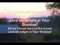 Aviad Cohen -  We Delight in your Shabbat