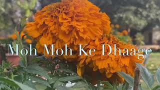 Moh Moh Ke Dhaage | Cover Song By Jasmeet | Dum Laga Ke Haisha | Anu Malik