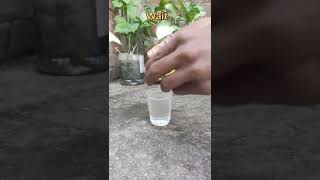 Water and bidi bomb experiment video||easy trick of bidi bomb||#experiment#skyshot #bidibomb#shorts