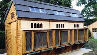 Pigeon Loft Design/Deluxe Tiled Ultimate Loft/Racing Pigeons