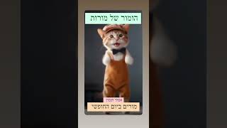 הומור של מורות אסתי חנסון - מורים ביום חופשי #הומור #צחוקים #הגשמה #ניהול #חיות