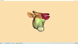 VTK Example - SplitPolyData - Cxx