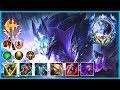 CARNARIUS NASUS MONTAGE 2024 - 